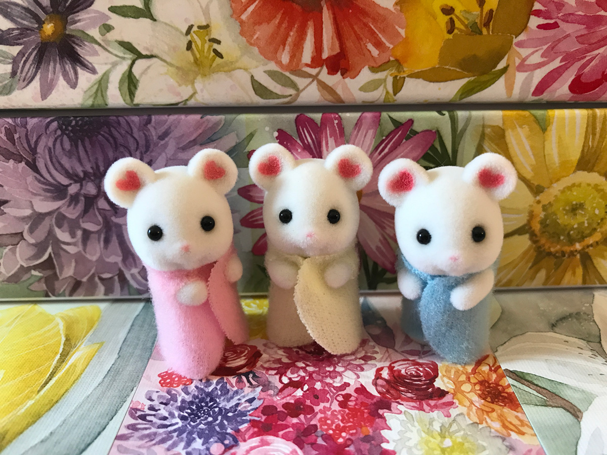 Floriferous Curious Garden Visitors A Trio of Cozy Calico Critters in the Floriferous Garden