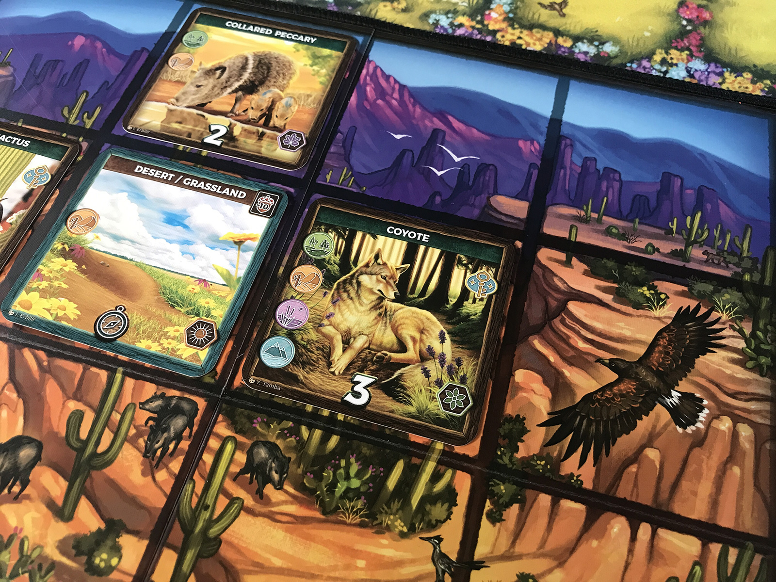 Keystone: North America Another Desert Puzzle Constant Movement from the Animals of Keystone: North America
