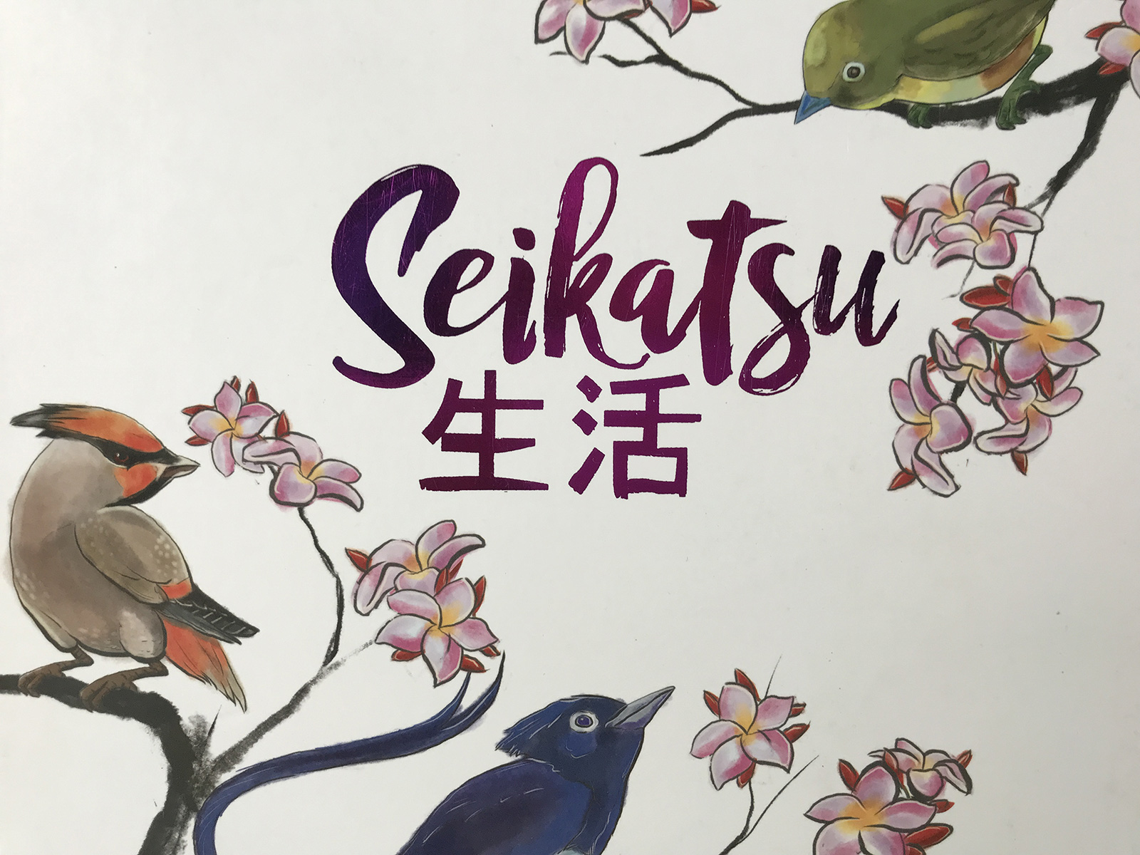A Lovely Scene of Birds on the Cover of Seikatsu