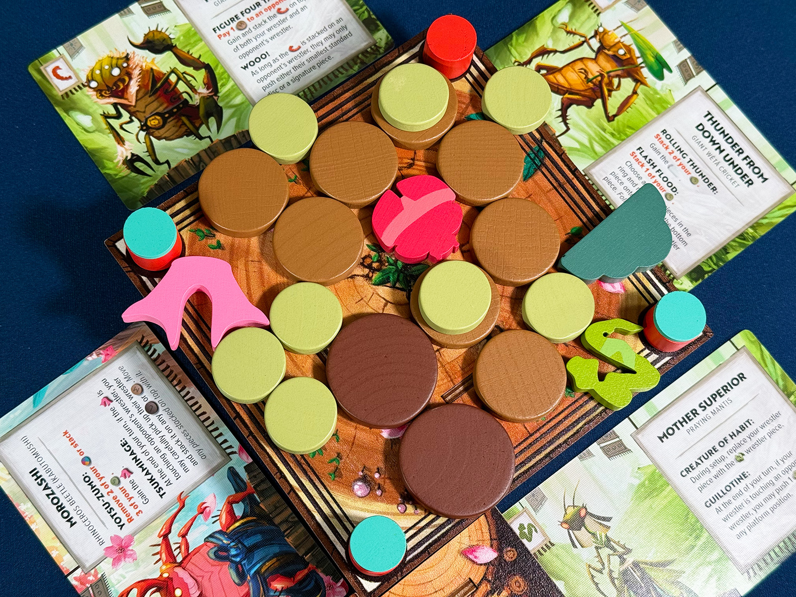 Squaring Off in Kabuto Sumo: Sakura Slam for Bug Battles