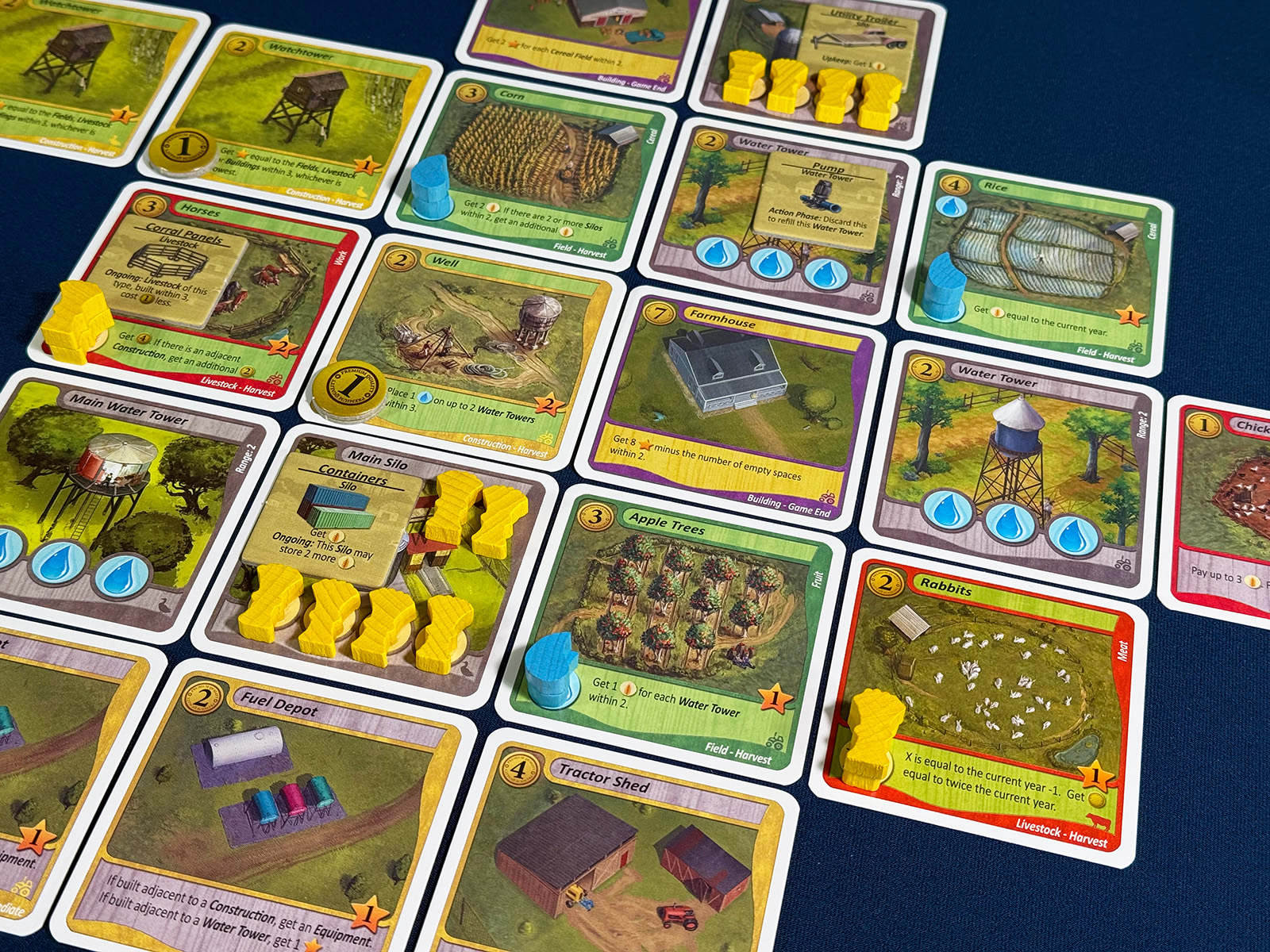 Fields of Green Adding More in the Third Year An Expanding Farm Presence at the End of the Third Year in Fields of Green