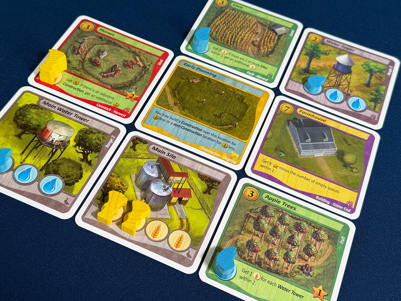 Fields of Green After the First Year Building Up a Farm During the First Year of Fields of Green