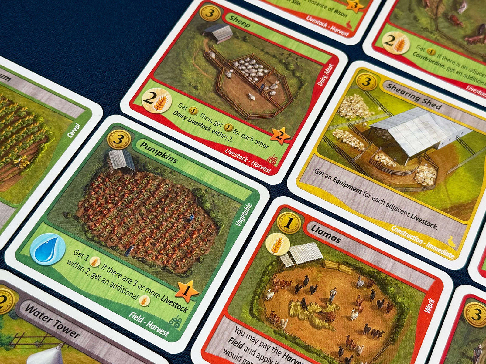 Fields of Green Thematic Shearing Shed Building a Shearing Shed in a Very Thematic Spot with Llamas and Sheep from Fields of Green