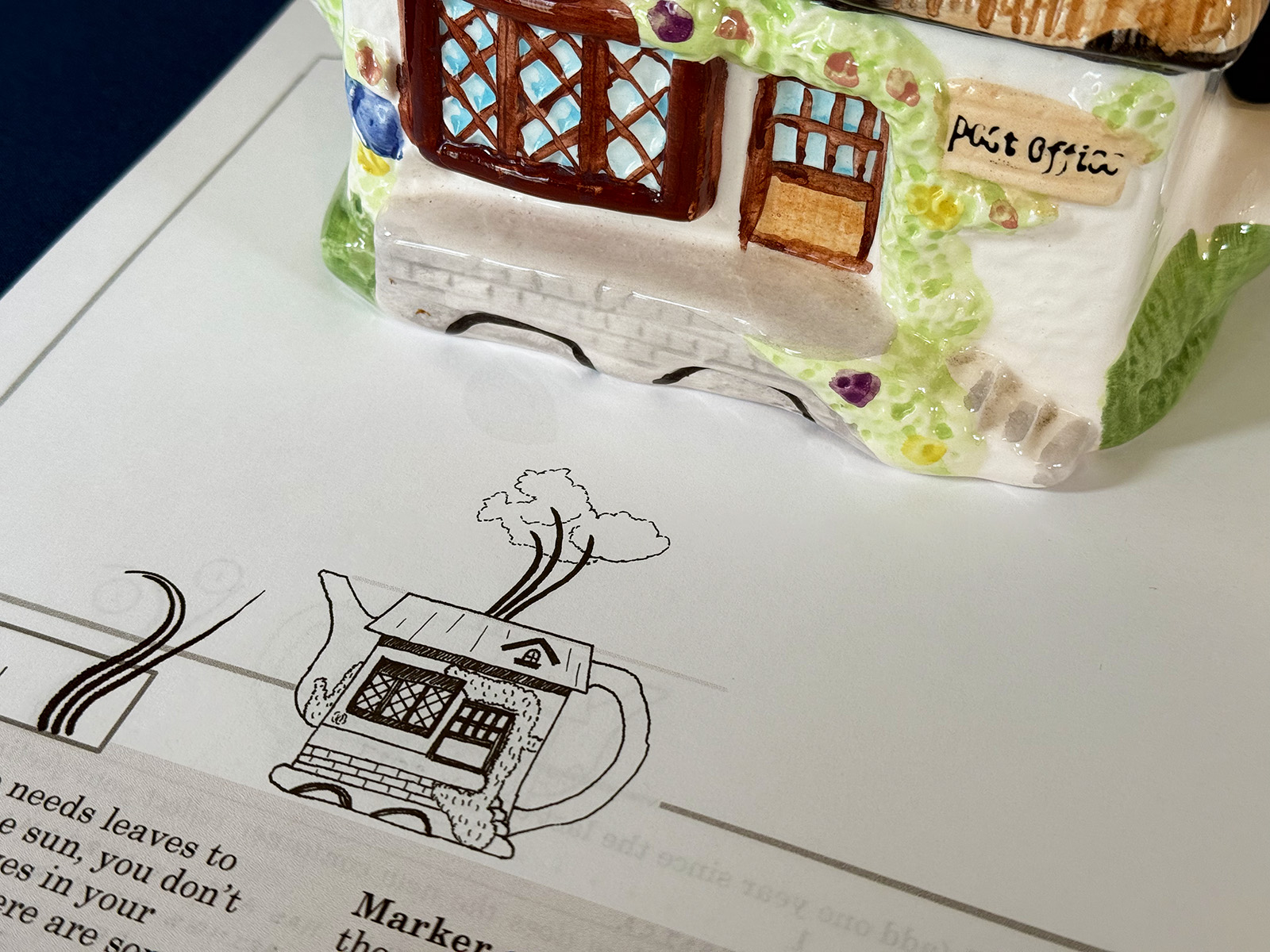 The Bonsai Diary: Tracing the Life and Growth of a Seedling