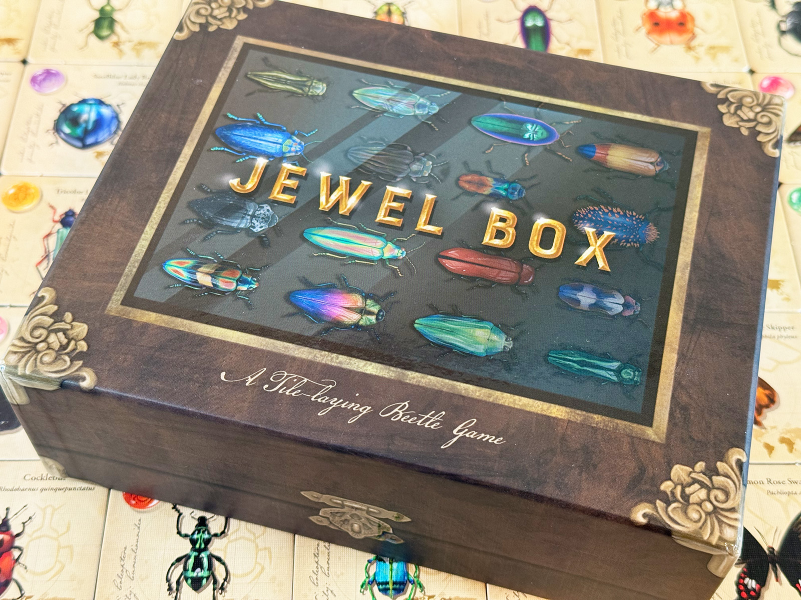 Beetles, Butterflies, and Jewel Box: Admiring Tiny Beauty