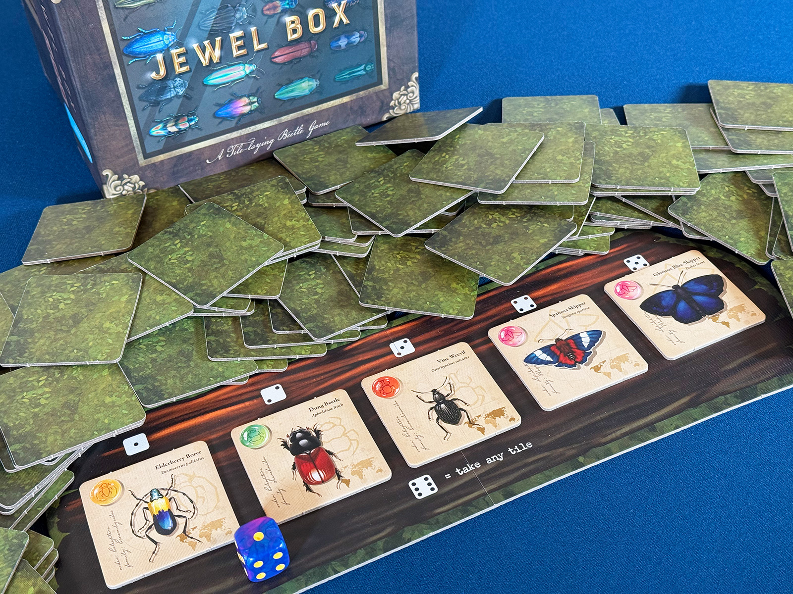 Jewel Box Neat Beetles to Line Up Beautiful Art to Appreciate Beetles and the Art of Placing Tiles in Jewel Box