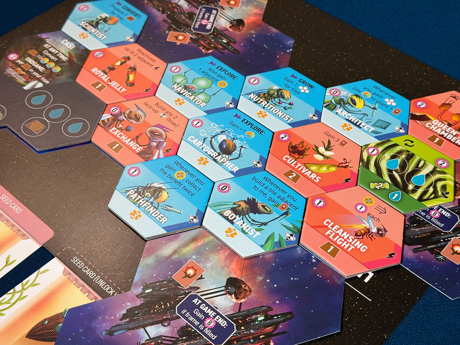 Apiary Beautiful and Busy Ship Admiring a Full Ship with All Sorts of Bonuses and Plans in Apiary