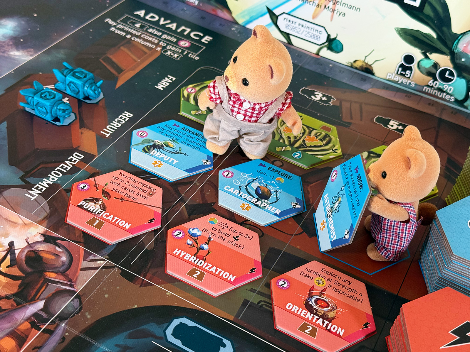 Apiary Board Room Bears Attracted to Honey Unnecessary Assistance from Bears Seeking Out Space Honey in Apiary