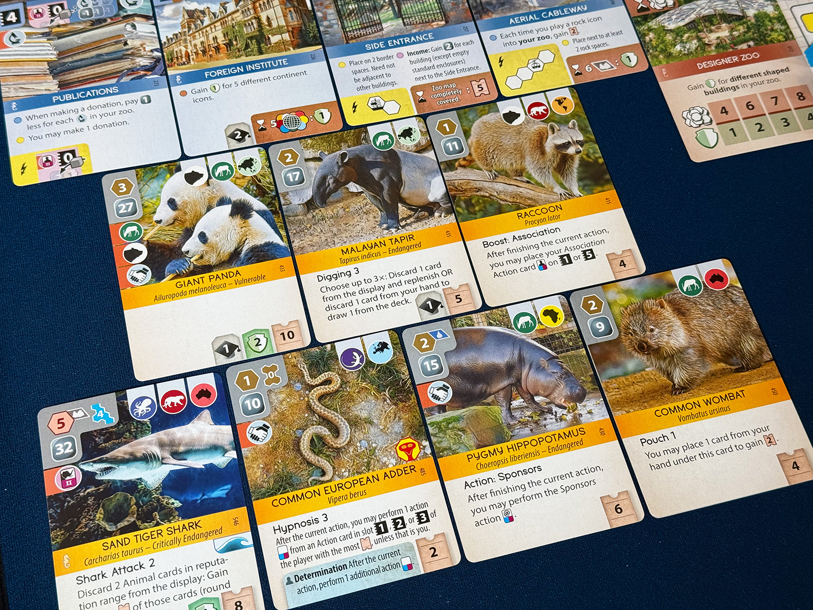 Ark Nova and a Zoo for a Folk Legend Basing an Entire Zoo Concept on a Single Raccoon in Ark Nova