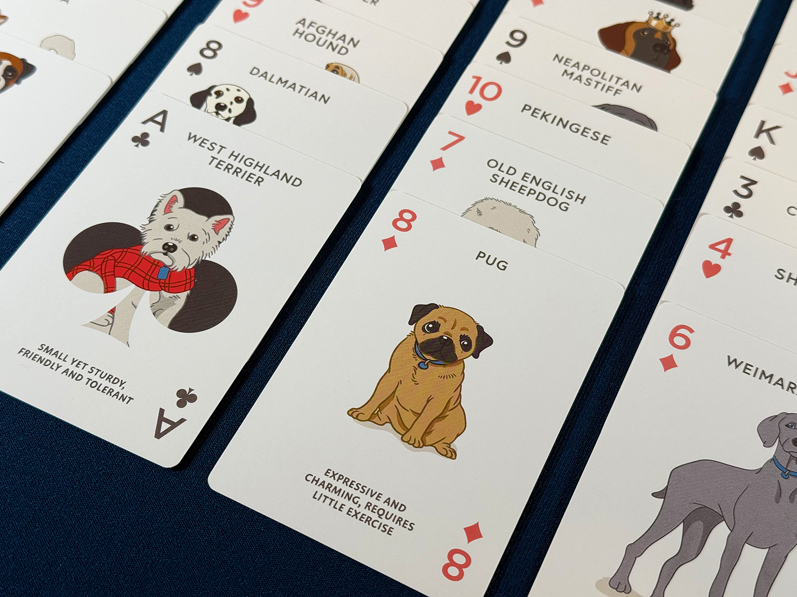 All the Cute Dog Faces on a Themed Playing Card Deck in Freecell
